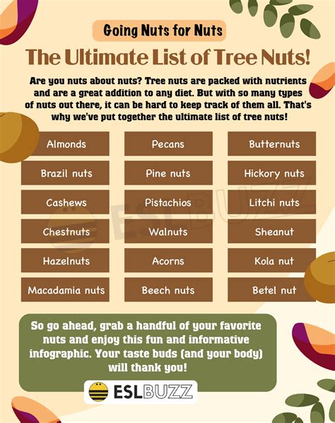 The Ultimate Guide to Nuts: A List of Tree Nuts and Their Health Benefits - ESLBUZZ