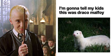 8 Draco Malfoy Memes That Sum Up His Role In Every Harry Potter Movie ...