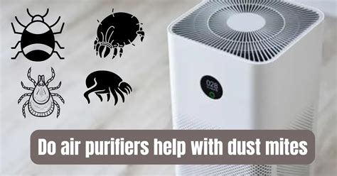 Do air purifiers help with dust mites? A Comprehensive Guide in 2023 ...