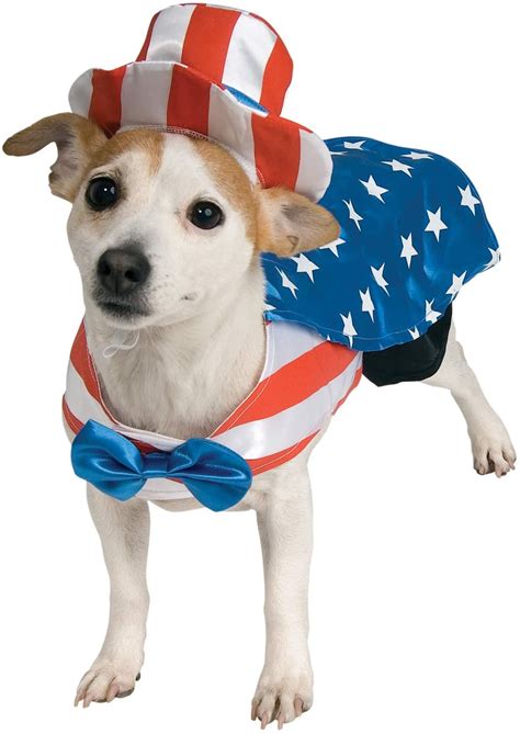 4th of July Dog Clothes | The Best 4th of July Dog Collars and Outfits