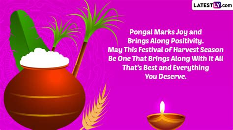 Happy Pongal 2023 Wallpapers - Wallpaper Cave