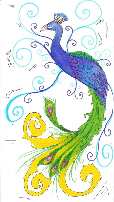 Free Peacock Drawing, Download Free Peacock Drawing png images, Free ...