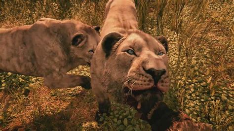 ANIMALS IN FAR CRY PRIMAL (Far Cry Primal Animal Fights PS4 Gameplay) - YouTube