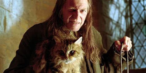 Top 10 Movie Cats, From Goose to Mrs Norris | Daily News Hack