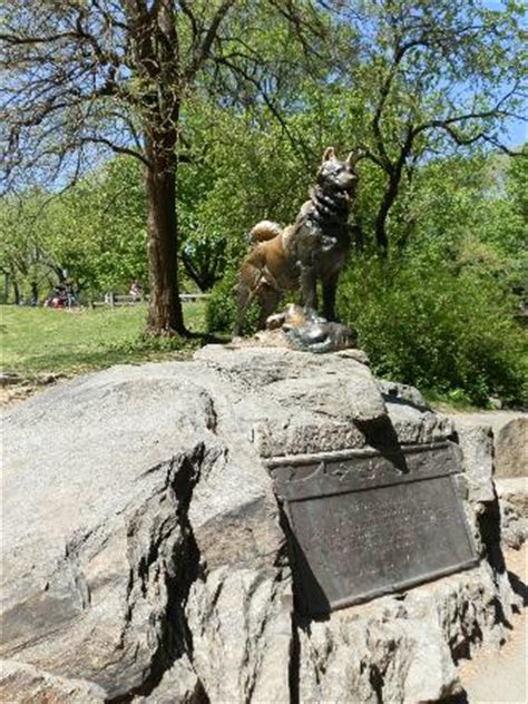 Balto's statue (Togo the Dog's Statue is in Seward Park in the Lower East Side) - Picture of ...