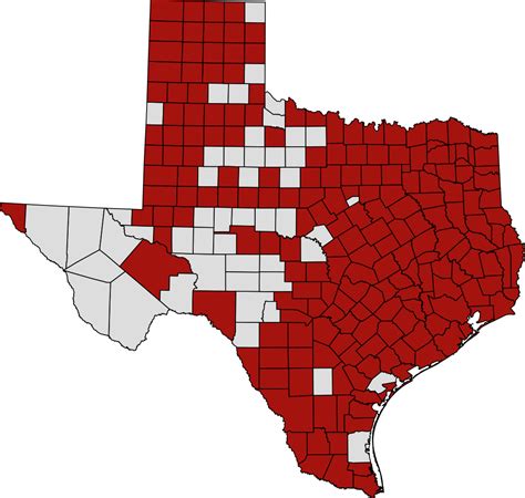 File:Map of 2020 coronavirus pandemic in Texas latest.svg - Wikimedia Commons