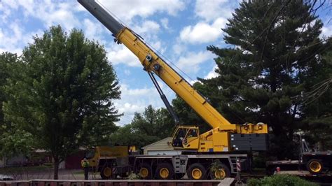 Cottonwood Tree Removal - YouTube