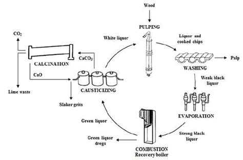 Chemical Recovery in Paper Pulping Process