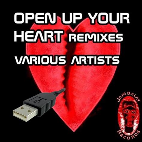 Amazon.com: Open Up Your Heart (Remixes) : VARIOUS ARTISTS: Digital Music