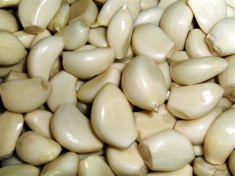 File:Peeled garlic.JPG - Wikimedia Commons
