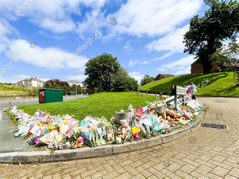 Plymouth Mass Shooting Flowers Flowers Placed Editorial Stock Photo - Stock Image | Shutterstock