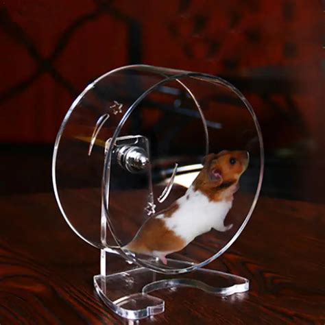 Aliexpress.com : Buy Acrylic Transparent Hamster Running Wheel Small Pet Running Wheel Silent ...