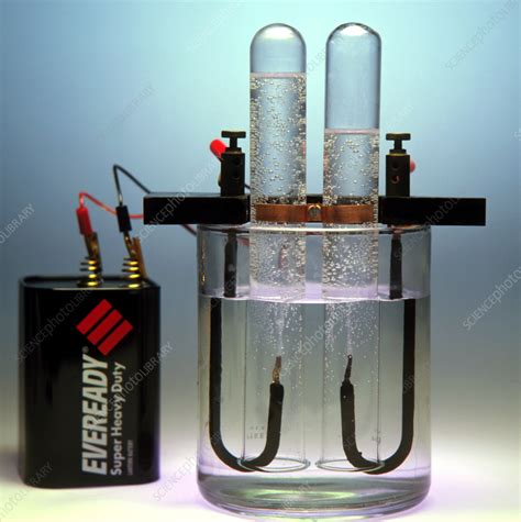 Electrolysis of water - Stock Image - A500/0247 - Science Photo Library