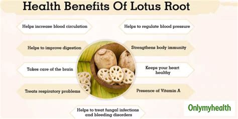 Lotus Root Health Benefits: This Superfood Can Benefit Health In These 5 Ways | OnlyMyHealth