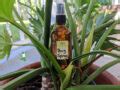 Homemade Bug Repellent Spray | Healthy Home Economist