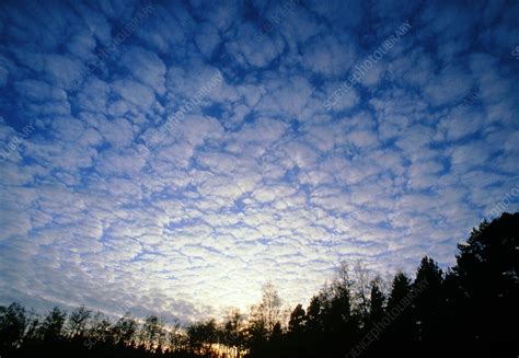 Mackerel sky altocumulus clouds - Stock Image - E120/0324 - Science Photo Library