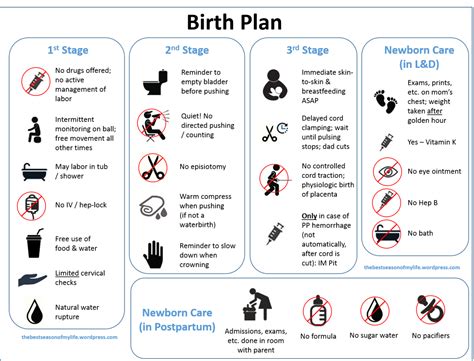 Birth Plan from thebestseasonofmylife.wordpress.com Natural Birth Plans ...