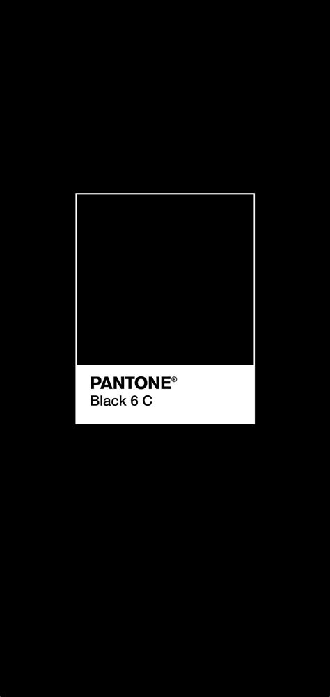 Pin on BLACK | Pantone 19-4
