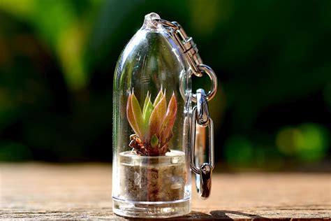 Mini Cactus Terrarium Keychains - The Green Head