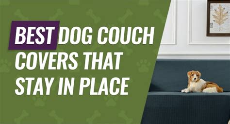 Pet Couch Covers That Stay in Place: 5 Best Picks & Reviews