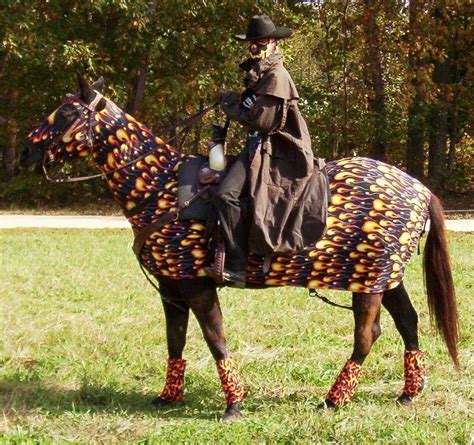 Ghost Rider | Horse halloween costumes, Horse costumes, Horse fancy dress