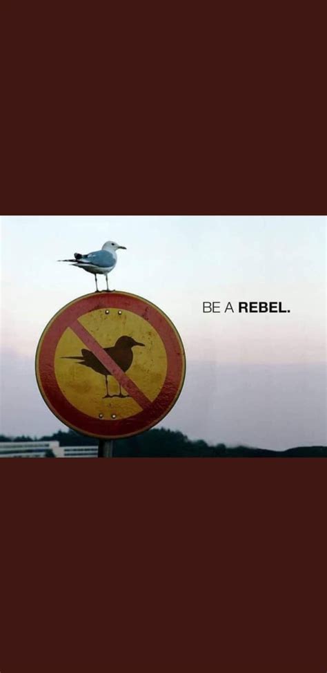 Be a rebel - Meme Guy