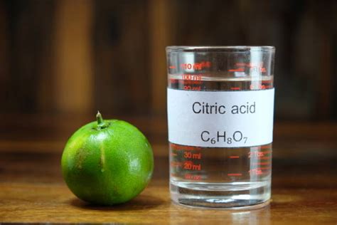 30+ Citric Acid Cycle Stock Photos, Pictures & Royalty-Free Images - iStock