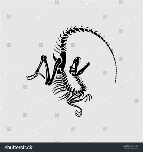 841 Velociraptor skeleton Images, Stock Photos & Vectors | Shutterstock