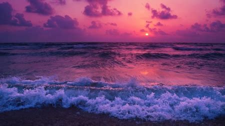 Pink Ocean Sunset - Oceans & Nature Background Wallpapers on Desktop ...
