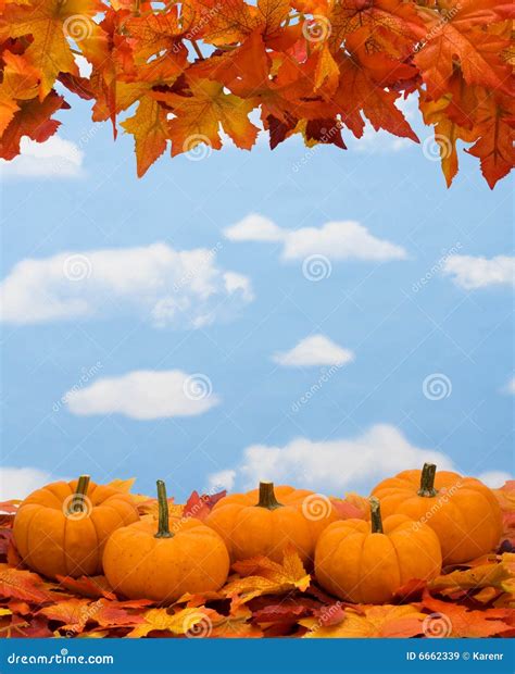 Fall Harvest Border stock image. Image of leaf, produce - 6662339