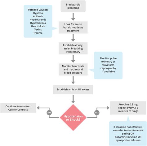 Sinus Bradycardia Acls Algorithm