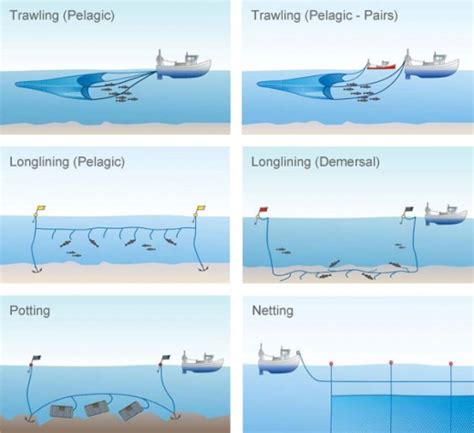 Sustainable Fishing - Maximus Sustainable Fishing