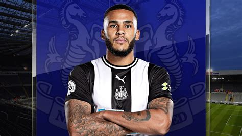 Jamaal Lascelles: Newcastle captain back to business | Football News ...