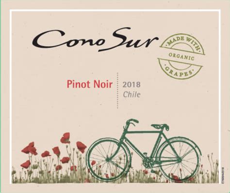 Cono Sur Organic Pinot Noir 2018 | Wine.com