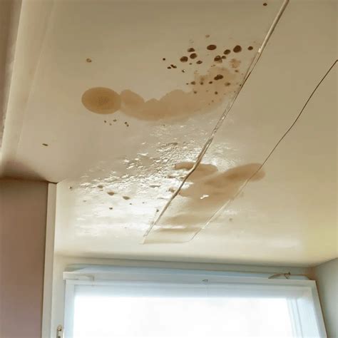 5 Causes of Water Stains on Ceilings: Prevention and Repair