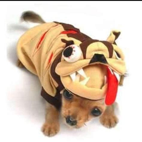 Zombie Halloween Dog Costume for Extra Small to Large Dogs - Etsy