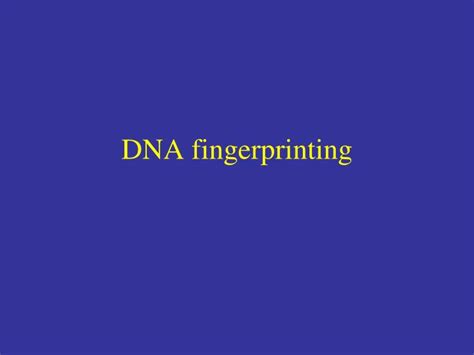 PPT - DNA fingerprinting PowerPoint Presentation, free download - ID:1874892