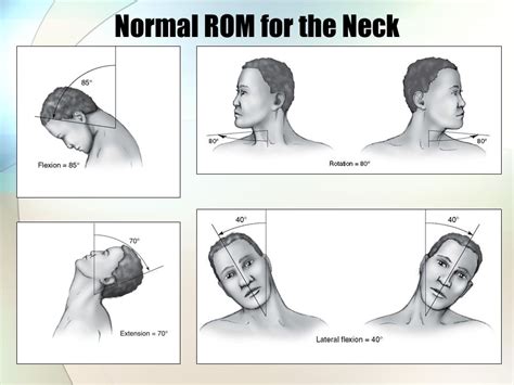 Normal Neck Range Of Motion