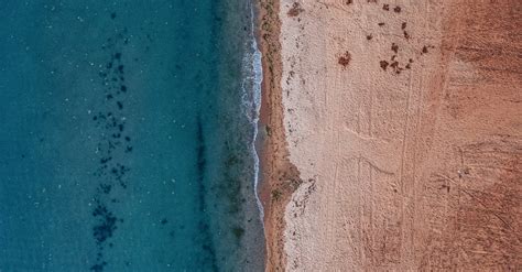 Aerial View of a Beach · Free Stock Photo