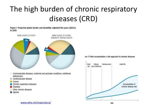 Prevention of Chronic Respiratory Diseases in Childhood and its Impac…