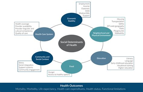 Social Determinants of Health Issue Brief