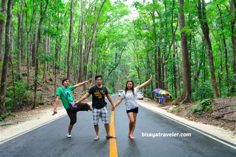 20 Mesmerizing Bohol Tourist Spots - The Bisaya Traveler