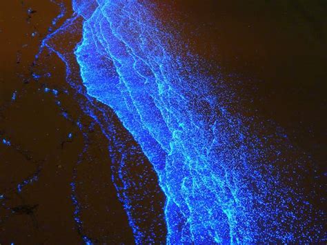 Bioluminescent Beach in Maldives – Fubiz Media