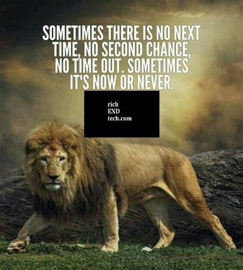 Best Quote Ever🔥🔥 | Lion quotes, Warrior quotes, Lion of judah