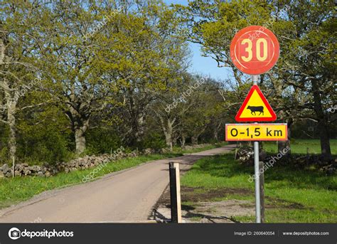 Country Road Road Signs Swedish Rural Landscape Spring Stock Photo by ©YAYImages 260640054