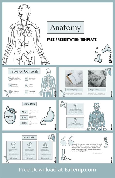 Anatomy Powerpoint Templates