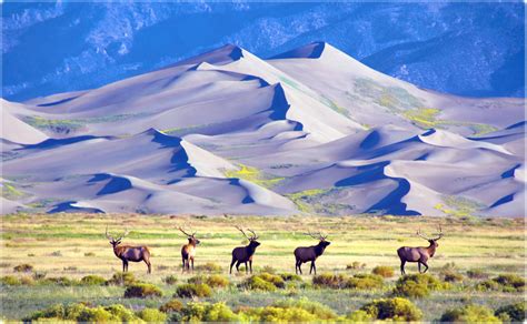 Great Sand Dunes National Park - Colorado