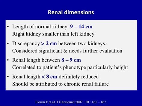 What Is The Normal Size Of Kidney - HealthyKidneyClub.com