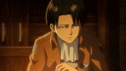 levi | GIF | PrimoGIF