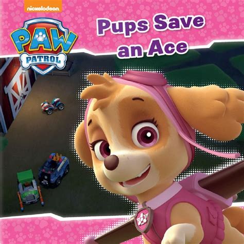 Nickelodeon Paw Patrol Pups Save an Ace | BIG W